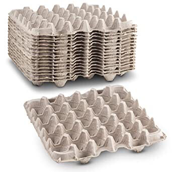 Paper Egg Flat Carton (each)