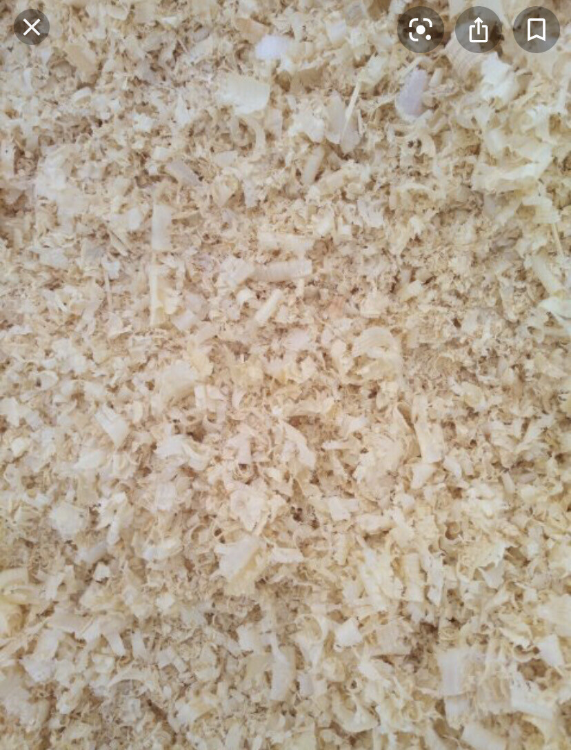 Softwood Bedding for Animals