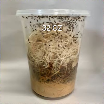 Flightless Fruit Fries