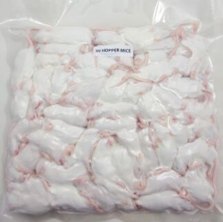  Frozen Feeder Mice