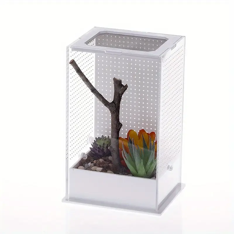 Habitat for Mantis/ Tarantulas