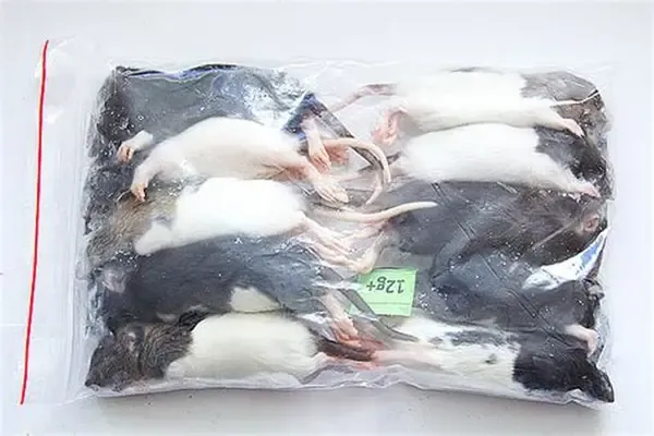 Frozen Rats Mice Mixed Sizes (Pick Up Only) Frozen Rats Mice Mixed Sizes (Pick Up Only)