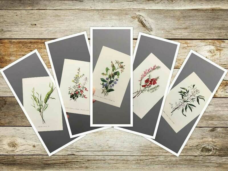 1st Set Eliza Blyth Mixed Pack of Greeting Cards