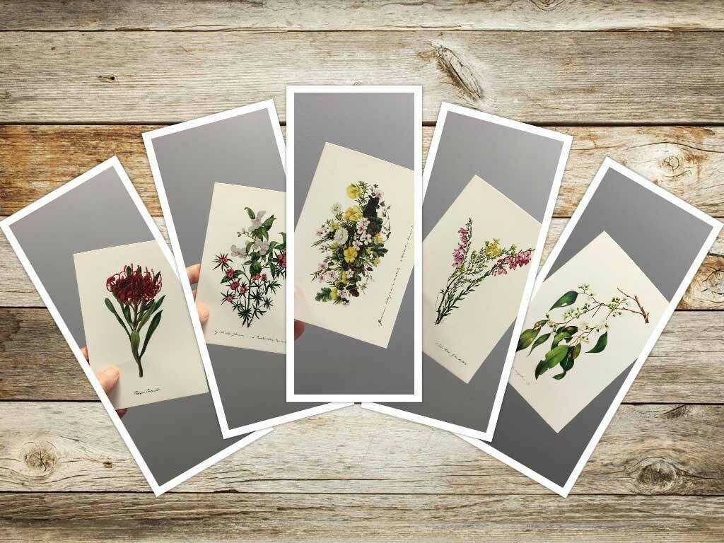 3rd Set Eliza Blyth Mixed Pack of Greeting Cards