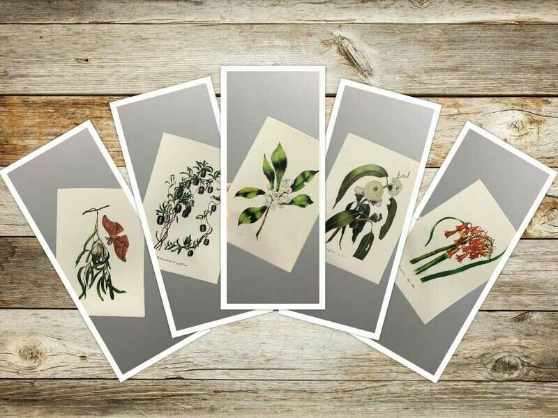 4th Set Eliza Blyth Mixed Pack of Greeting Cards