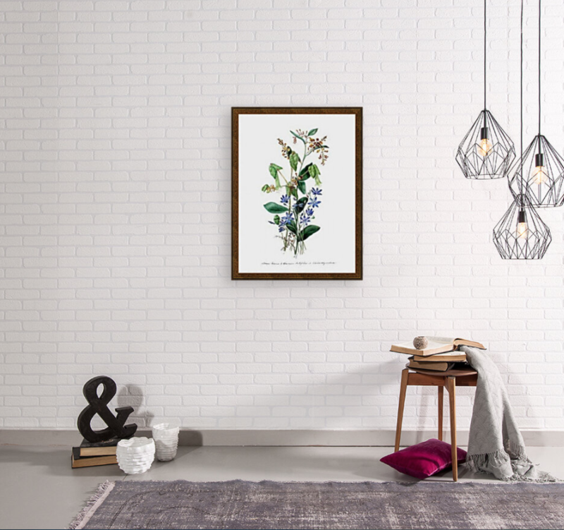 Eliza Blyth A3 ART Prints