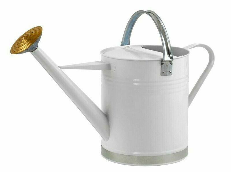 9L Ambassador Metal Watering Can 3 Colours