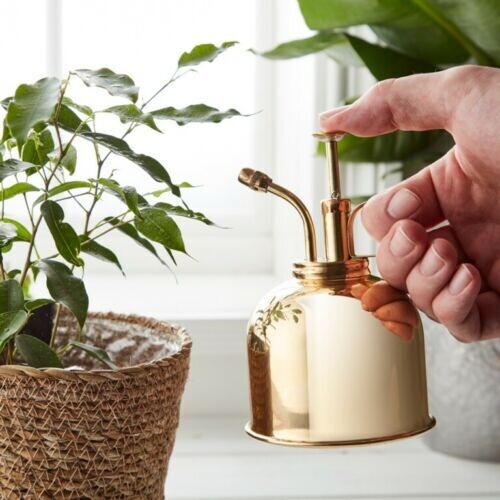 Ambassador  Sprayer For Indoor Plants 300ml