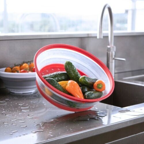 Pendeford Collapsible Plate Colander