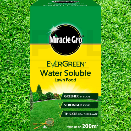 Miracle-Gro Water Soluble Lawn Food Thicker Greener Healthier Lawn 1kg Carton