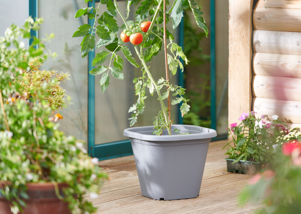Clever Pots Tomato Planter Charcoal 26cmx22cmx22cm - Supply Outlet