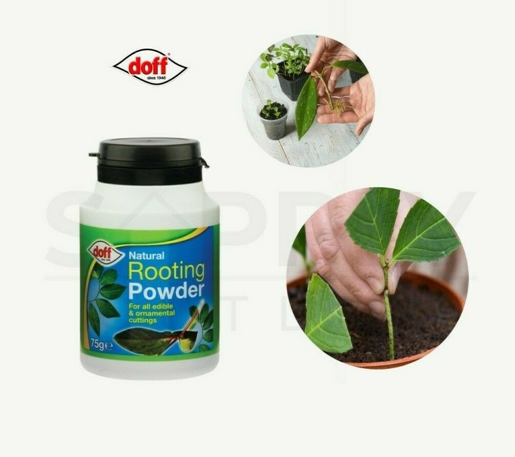 Doff 75g Natural Organic Rooting Powder Edible Ornamental Cuttings Propagation