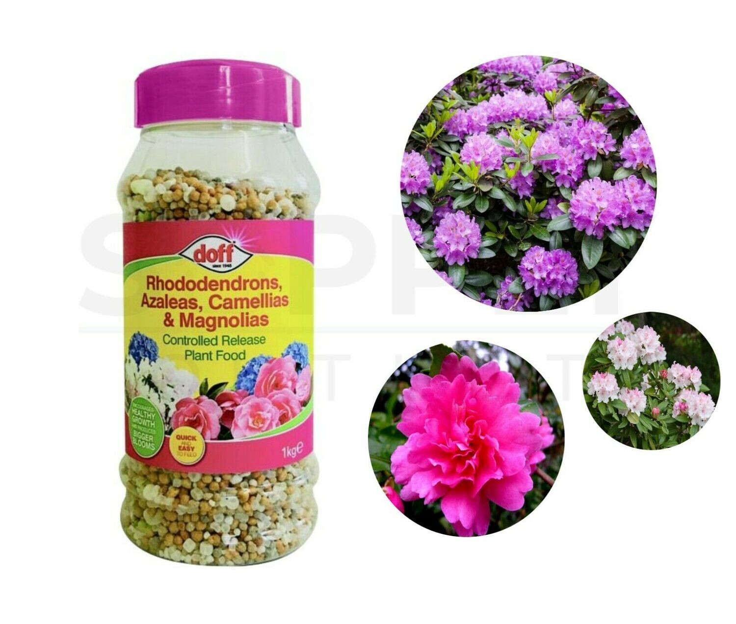 Doff 1Kg Controlled Slow Release Fertiliser Granules Plant Food Ericaceous Grow
