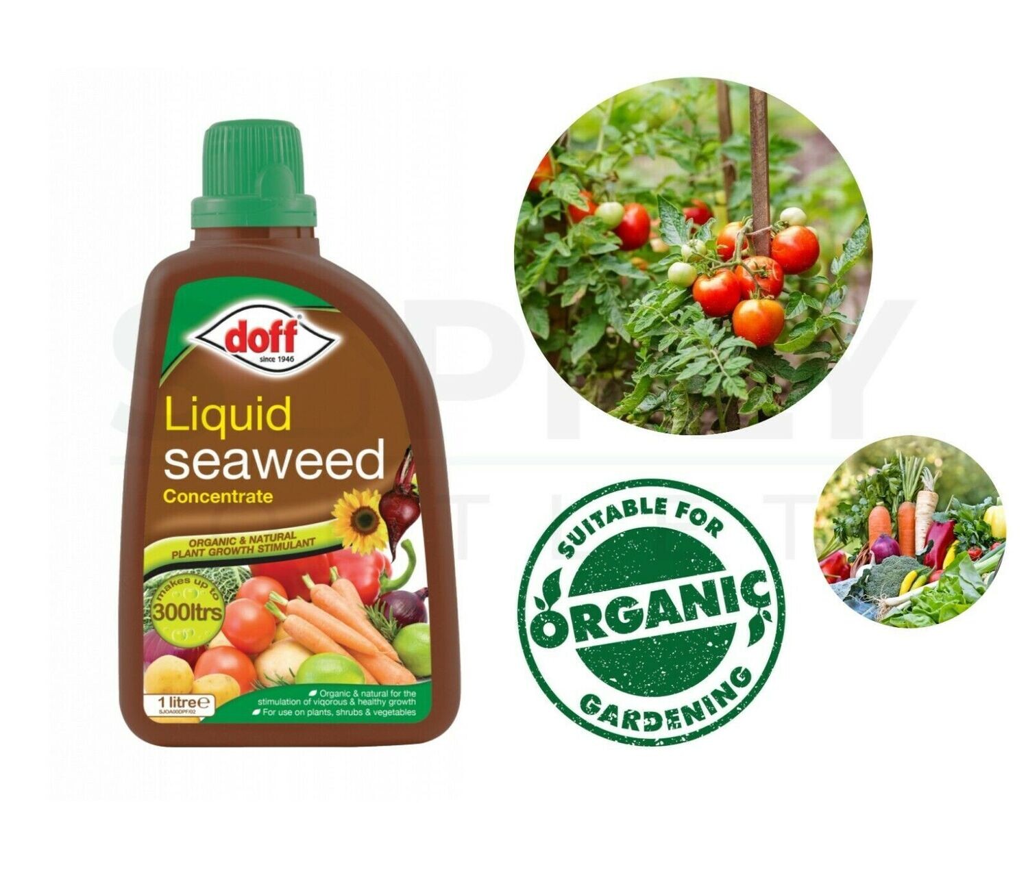 Doff 1L Liquid Seaweed Plant Vegetable Concentrate Organic Feed StimulatesGrowth