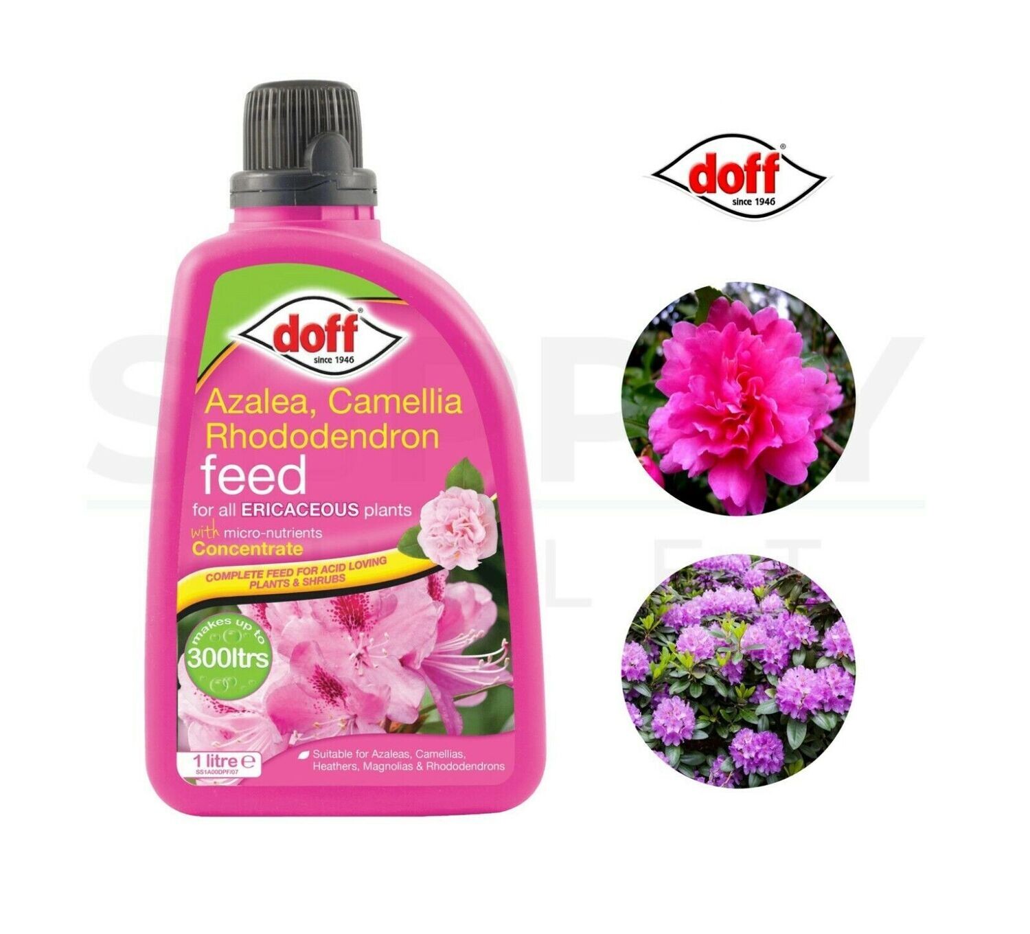 Doff 1L Ericaceous Plant Feed Concentrate Rhododendrons Azaleas Camellias
