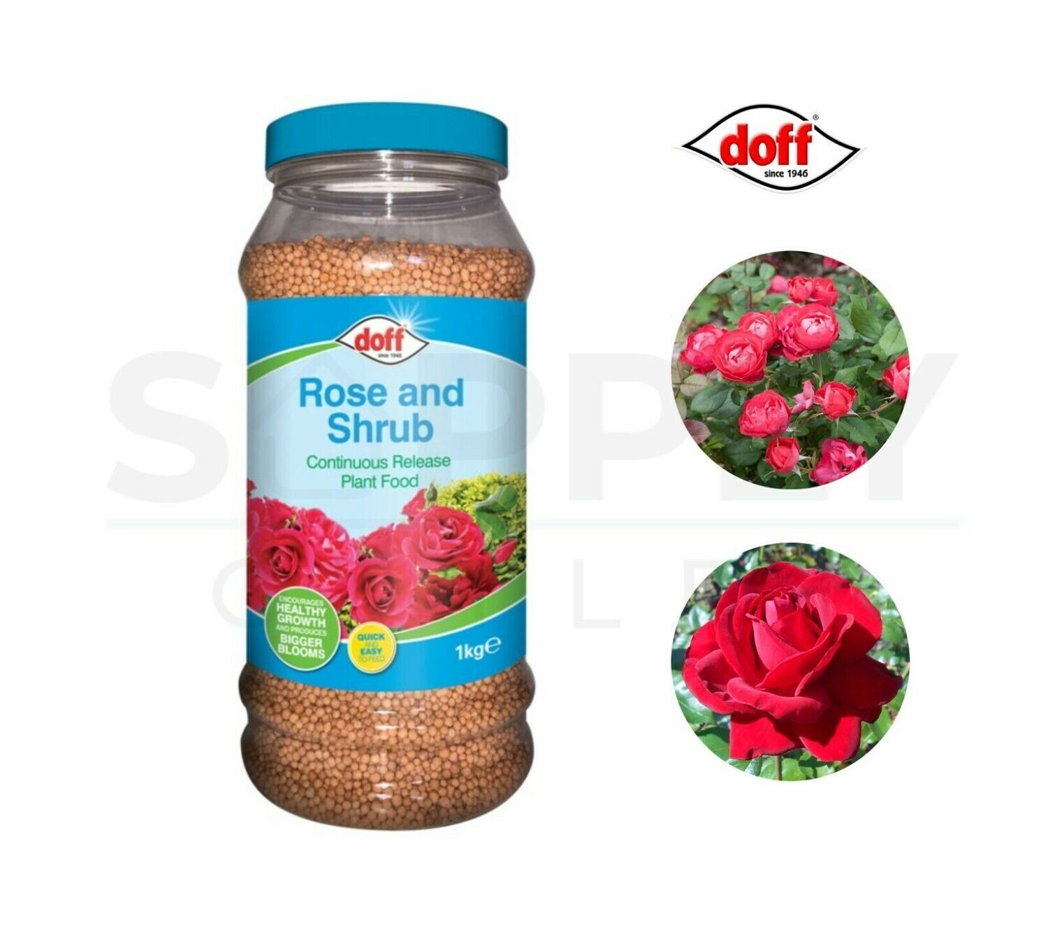 Doff 1Kg Continuous Release Plant Food Rose & Shrub Encourages Healthy Growth