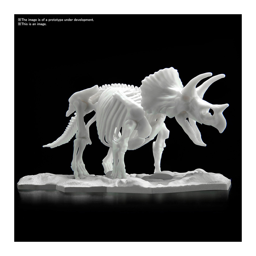 DINOSAUR LIMEX SKELETON TRICERATOPS 16cm