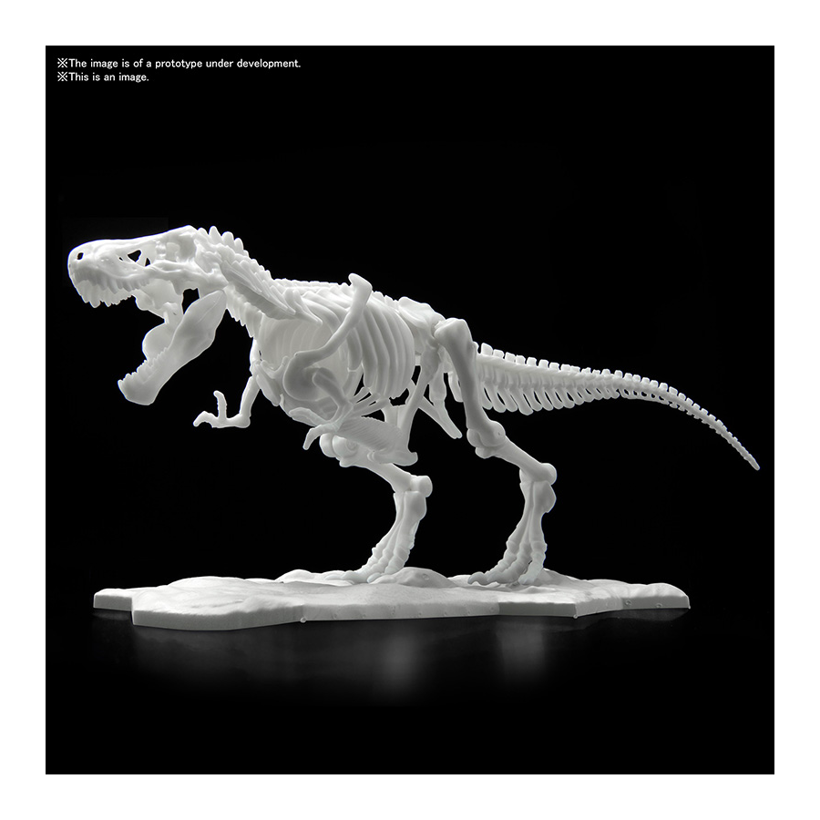 DINOSAUR LIMEX SKELETON TYRANNOSAURUS  21cm
