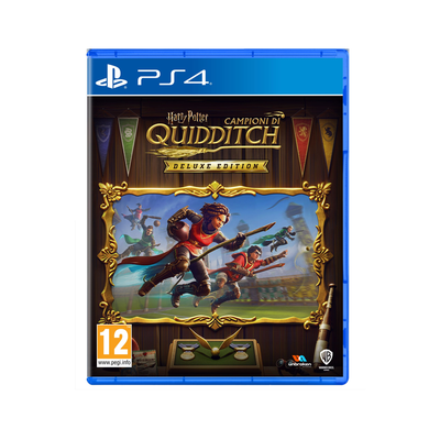 Harry Potter: Campioni di Quidditch
