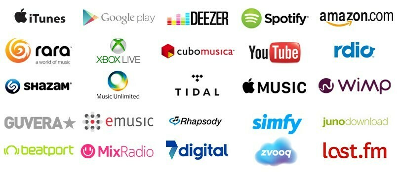 Pubblicazione Digital Stores