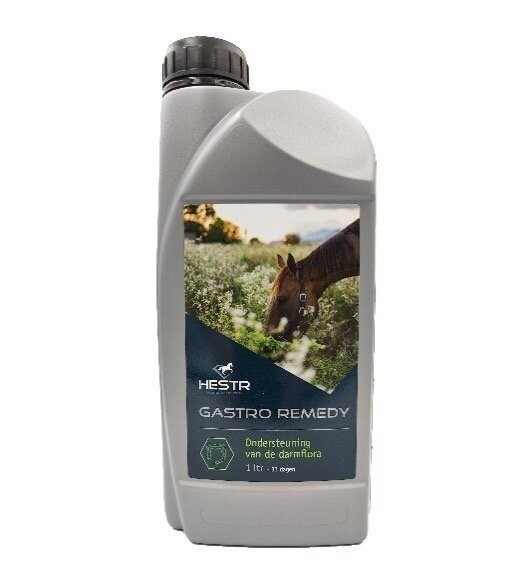 GASTRO REMEDY Unterstützung Darmflora GASTRO REMEDY Unterstützung Darmflora