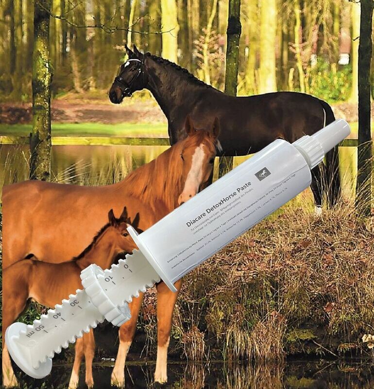 DiaCare DetoxHorse Paste Entgiftung, Magen Darmproblemen DiaCare DetoxHorse Paste Entgiftung, Magen Darmproblemen