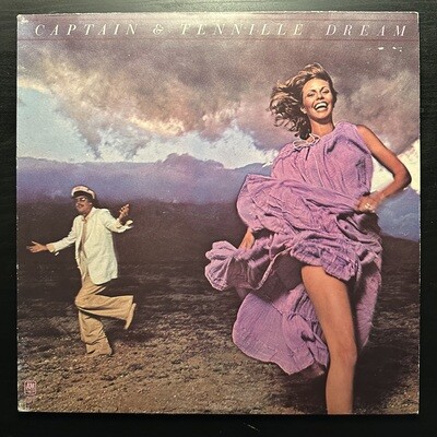 Captain &amp; Tennille - Dream (Англия 1978г.)