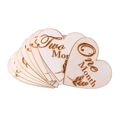 Baby Milestone Plaques (1 to 12 Months)
