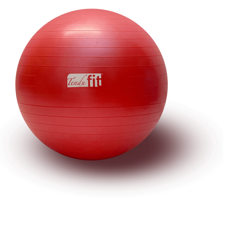 Tendu Stability Ball