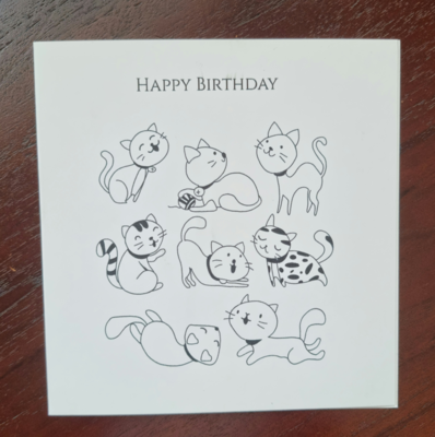 Fun cat Birthday card