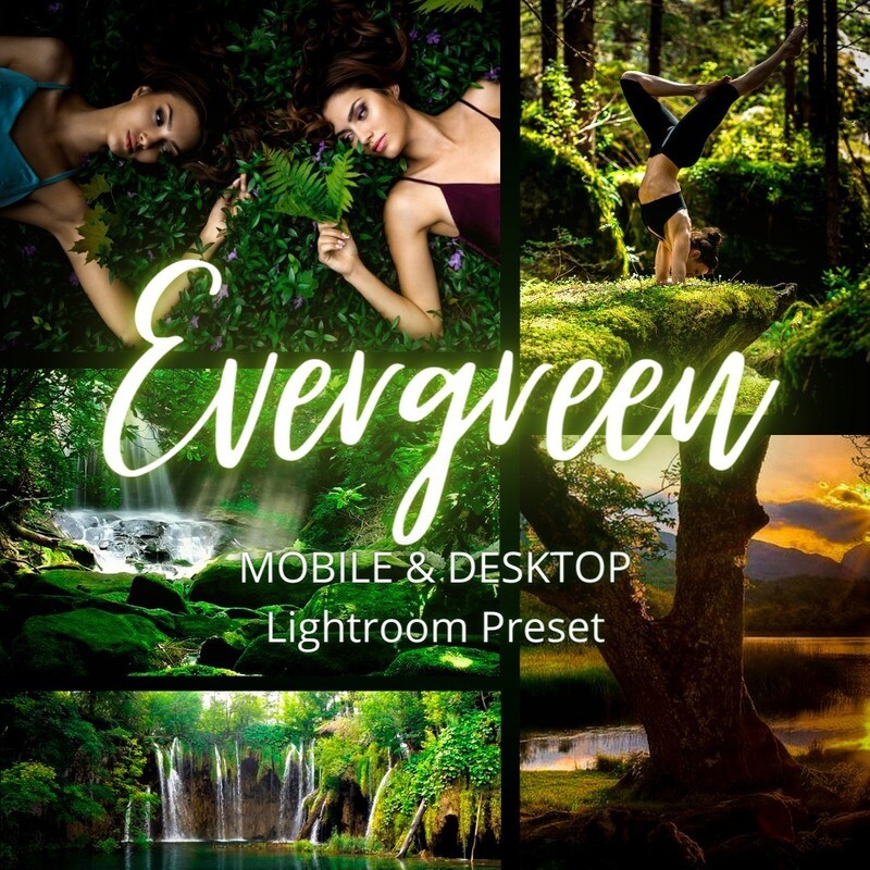 EVERGREEN | Mobile &amp; Desktop Lightroom Preset