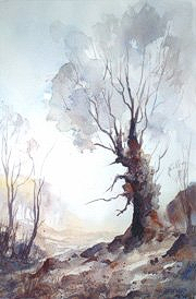 BURNHAM OAK