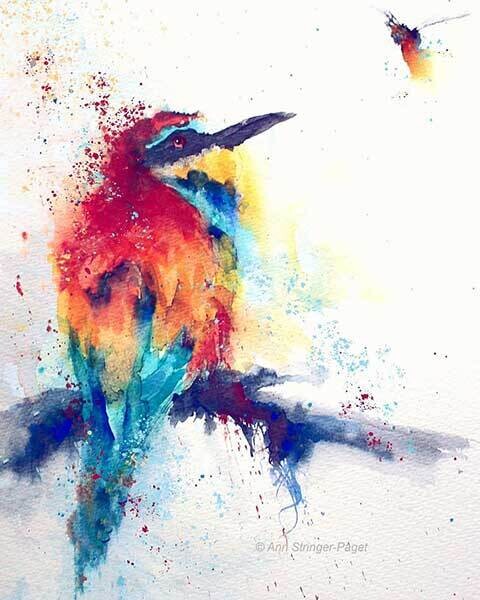 bee eater