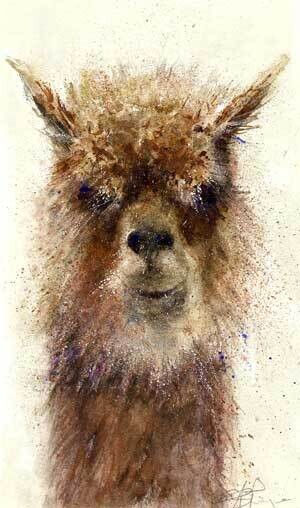 Llama
