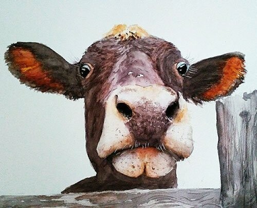 COW