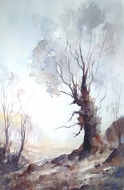 BURNHAM OAK