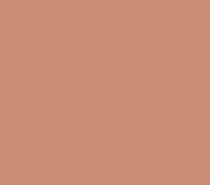 SAGA 100 - DISEÑO 1150 TERRACOTA RAL 3012