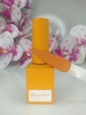Bling Girl 15ml Gel Colour - 45