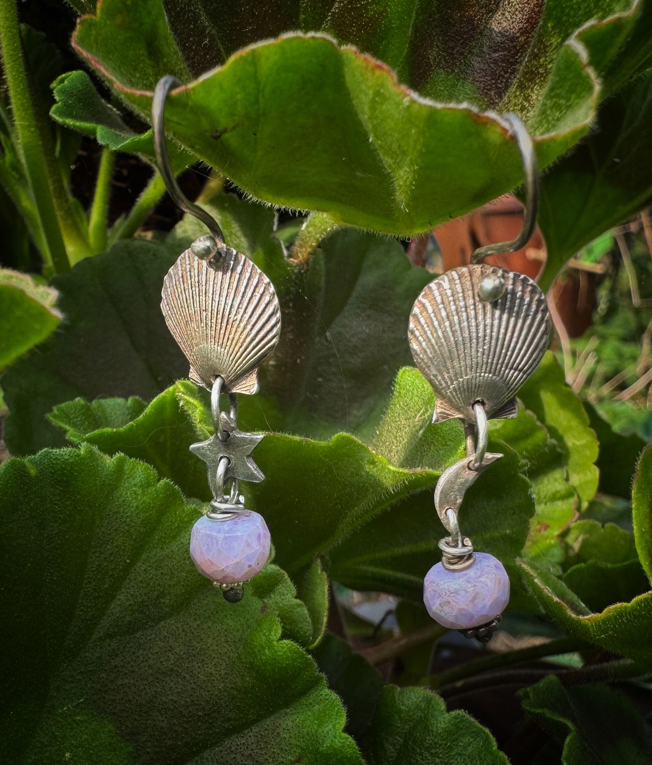 Sea shell earrings