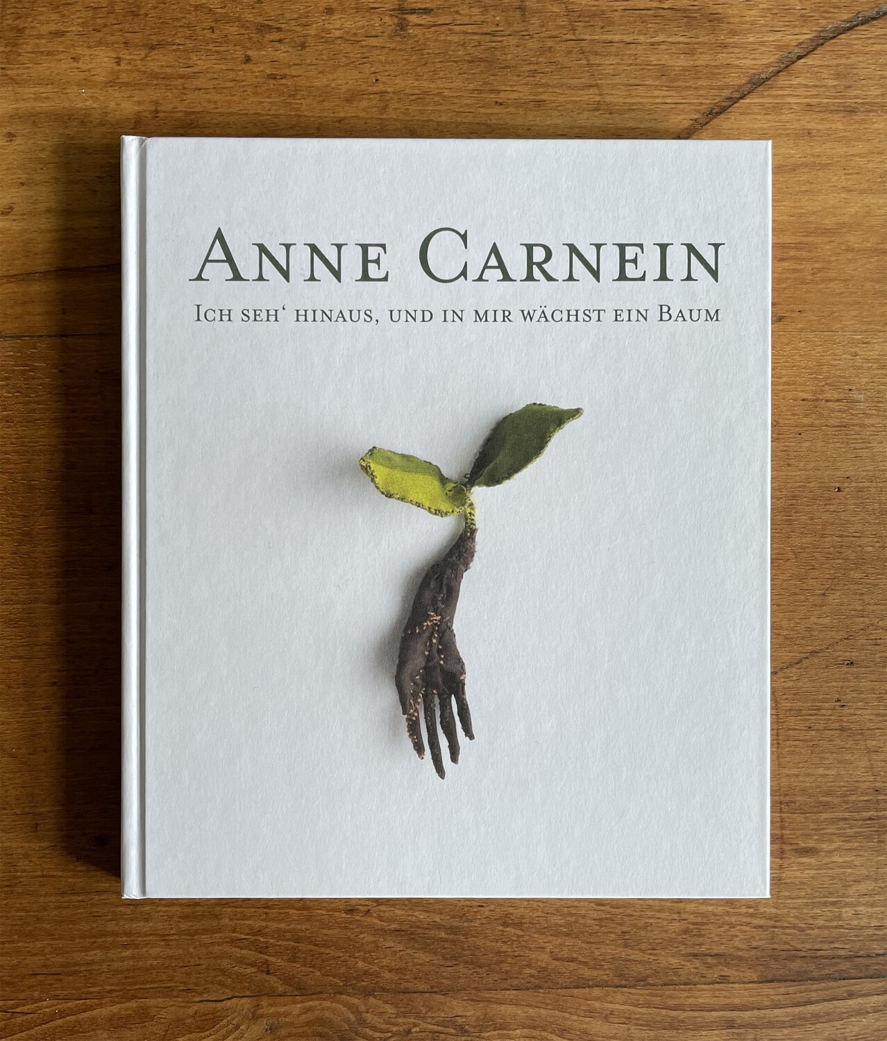 "Ich seh' hinaus und in mir wächst ein Baum", 2015
(Hardcover) - for shipping outside the EU: 
please contact