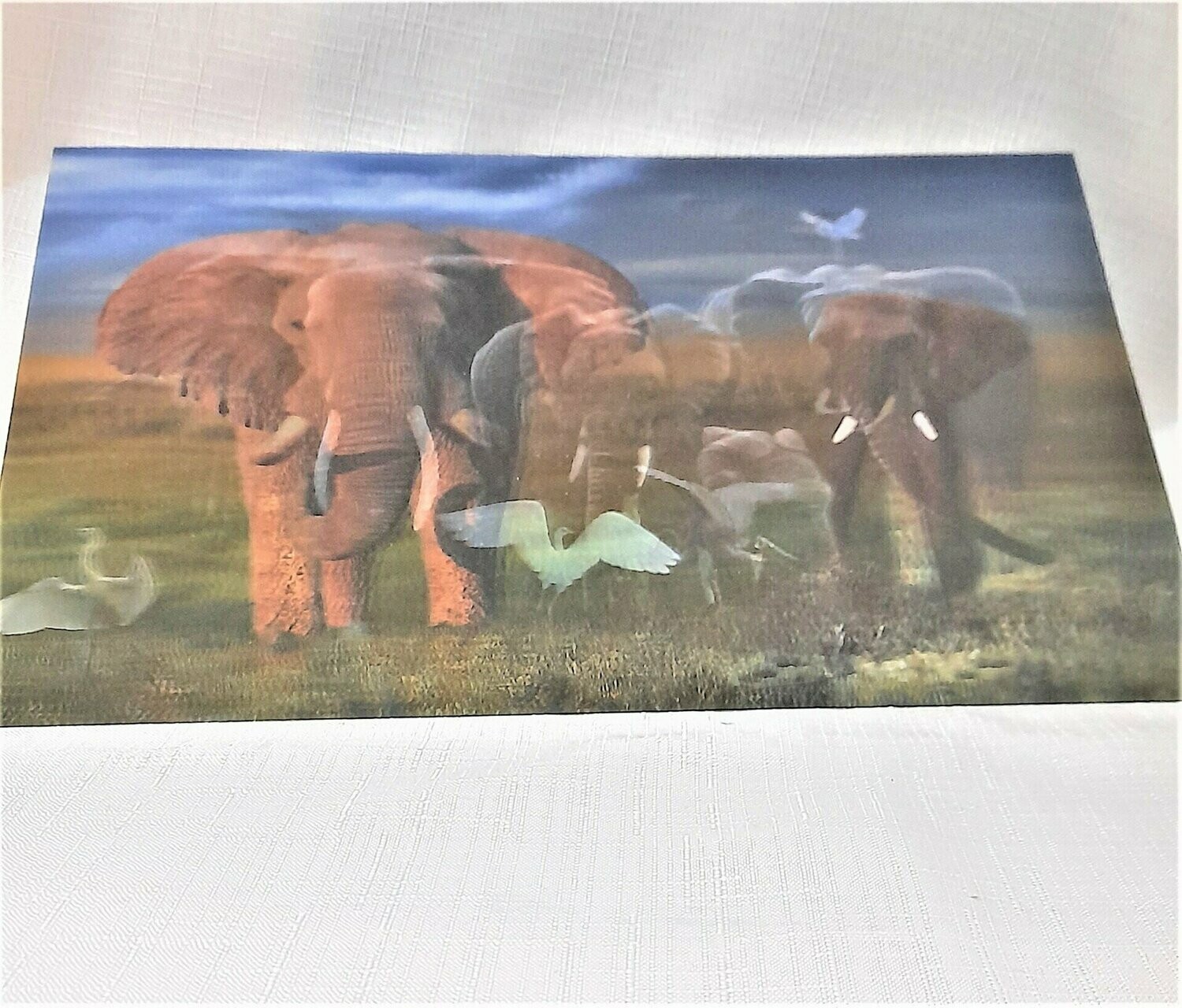 3D Elephant Picture