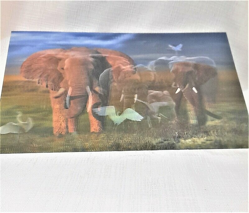 3D Elephant Picture