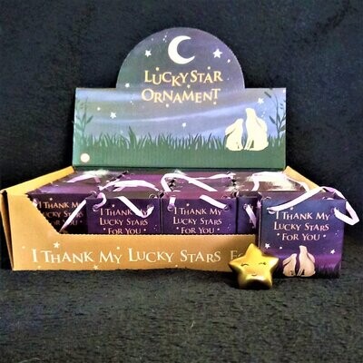 Lucky Gold Star in Bag