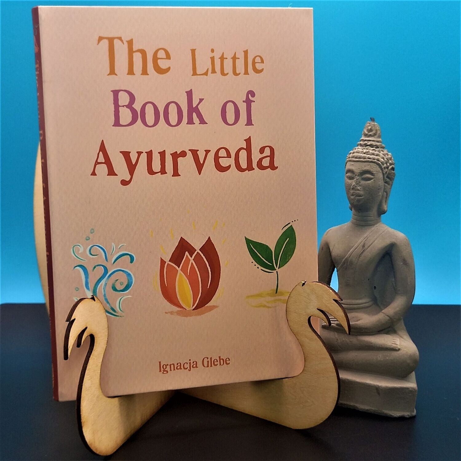 The Little Book of Ayurveda