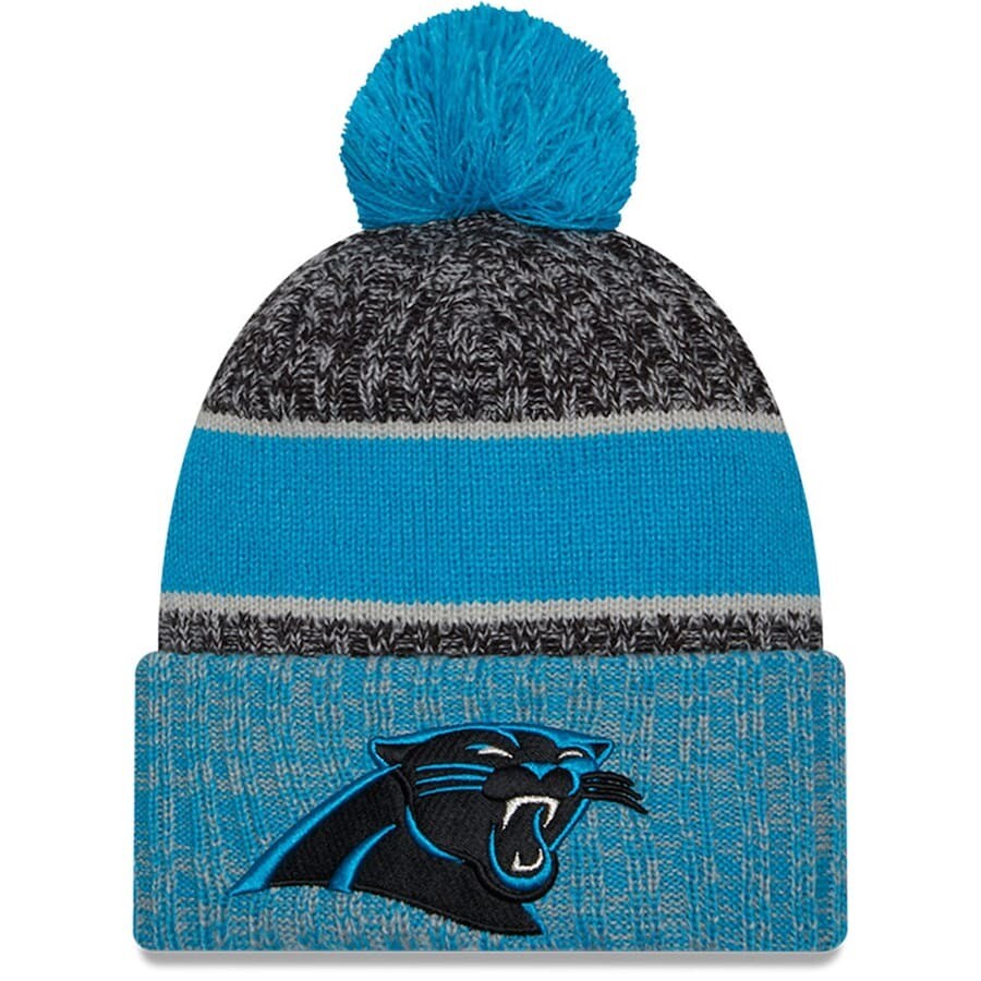 Carolina Panthers NFL Beanie