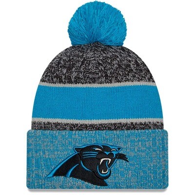 Carolina Panthers NFL Beanie