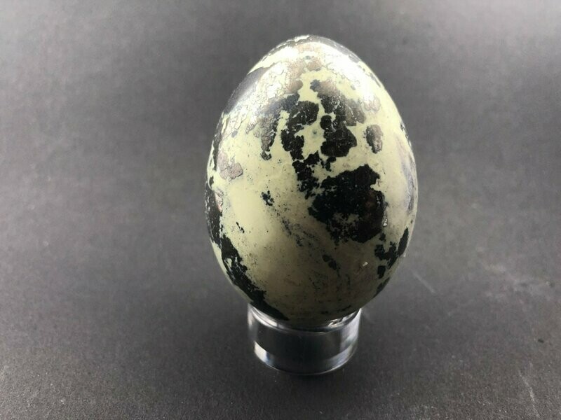 Oeuf en Serpentine