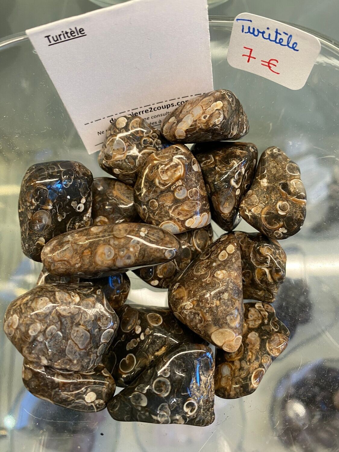 Pierre Roulée - Agate Turitele