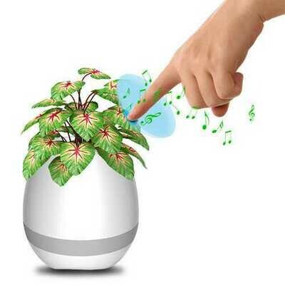Garden Pots &amp; Planters
