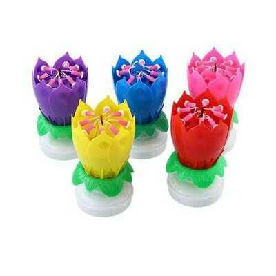 Celebration &amp; Party Supplies